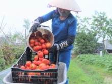Image: FAO: Vietnam's rural areas lack nutritious food systems