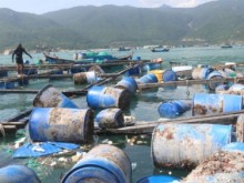 Image: Marine farming in the face of climate change challenges