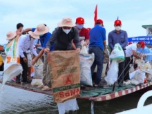 Image: Mekong Delta: Releasing millions of fish seeds to the nature