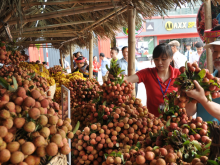 Image: Bac Giang Province seeks to increase lychee sales to the US