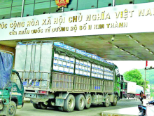 Image: Vietnam’s farm exports to China require stricter standards