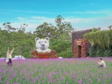 Image: Fresh Garden – a destination in Da Lat that should not be missed in the summer