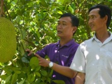 Image: Grasping agricultural products’ data before promoting to the market