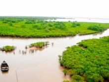 Image: Investing roughly USD 4.4 million to restore mangroves