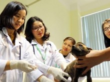 Image: Scientific research is a university’s lifeblood