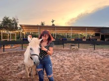 Image: Three destinations for equestrian enthusiasts in Ho Chi Minh City