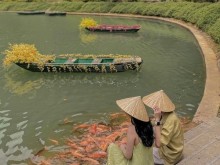 Image: Useful self-sufficient 1 day travel experience in Ninh Binh