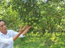 Image: Positive signs for organic farming