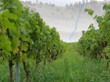 Image: Work less, save more in farming thanks to AI