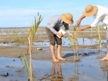 Image: Vietnam needs 368 billion USD to adapt to climate change