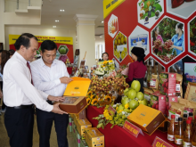 Image: Bac Giang lychees go global