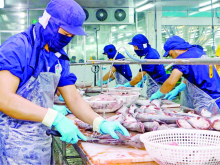 Image: High price hampers Vietnam’s seafood exports to Asia-Pacific markets