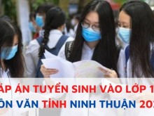 Image: The quickest and most correct replace of the solutions to the Literature examination within the tenth grade in 2022, Ninh Thuan province