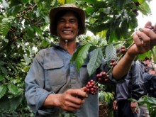Image: Emission-reducing coffee production: Avoid inactivity