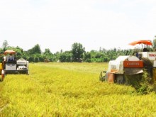 Image: Over AUD 10 million support to reduce emissions in rice production