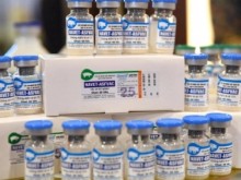 Image: Review of the incorrect vaccination against African swine fever