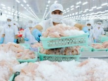 Image: Seafood industry faces capital shortage at the end of the year