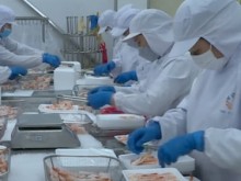 Image: It's time to build Vietnam seafood brand: experts
