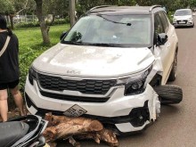 Image: The feminine driver “ma males” drove the automotive to blow up, run away in Binh Phuoc was fined a big amount of cash