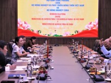 Image: Vietnam – Cuba: Cooperation for national food security