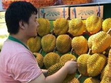 Image: Vietnamese durian fever in China