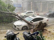 Image: Thunderstorms, storms, bushes hit the automobile: Spending cash to purchase costly insurance coverage, tips on how to get probably the most cash?