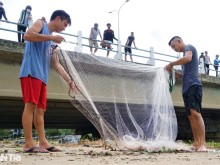 Image: After the storm, people in Da Nang go to the sea to catch fish… fresh water, make a lot of money