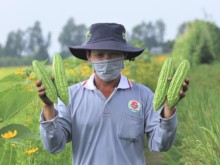 Image: Finding 100 Excellent Vietnamese Farmer of 2022