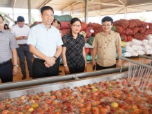 Image: Overcoming hardship, Gia Lai agriculture on the rise