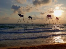 Image: Three reasons to go to Phu Quoc immediately and forever