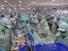 Image: Vietnam’s seafood imports soar 36.8% in Jan-Sept