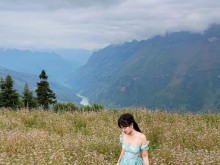 Image: Not only in Ha Giang, but 3 locations also have buckwheat flowers blooming so beautifully