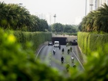 Image: The road covered with picturesque vines in the heart of Hanoi