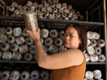 Image: The woman rose out of poverty thanks to the mushroom farming model