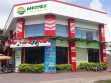 Image: Angimex to shelve share sale plans