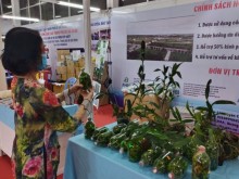 Image: Int’l agriculture fair generates VND20 billion in sales