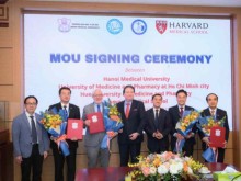 Image: Vietnam’s three medical universities cooperate with Harvard Medical School