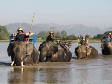 Image: Daklak to phase out elephant riding
