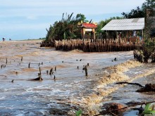 Image: Landslides worsen in Mekong Delta
