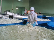 Image: Major coconut processing factory opened in Ben Tre