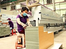 Image: Vietnam’s wood exporters to EU seen facing challenges