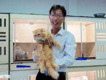 Image: The guy spent more than 200 million dongs to open a cat cafe for guests to caress