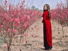 Image: The most beautiful places to take pictures of Ao Dai to welcome Tet for sisters
