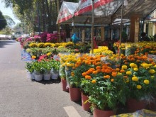 Image: Local flower market busy ahead of Tet