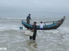Image: Earn tens of millions of dong per sea trip thanks to soft fish like porridge