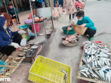 Image: Grilling fish at the foot of a sacred temple in Nghe An