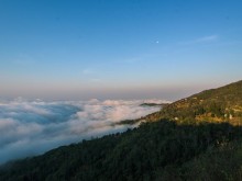 Image: Ta Xua is surprisingly beautiful in the colorful peach blossom season among the sea of ​​​​clouds, the virtual life enthusiasts are excited to go hunting together