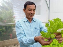 Image: The director of U50 quit his job, and started a vegetable-growing business, making 100 million/per month