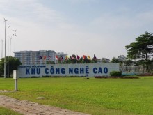 Image: HCMC cuts land rent for Covid-affected individuals, organizations