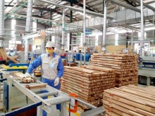 Image: Vietnam emerges as biggest ASEAN wood products exporter to Australia